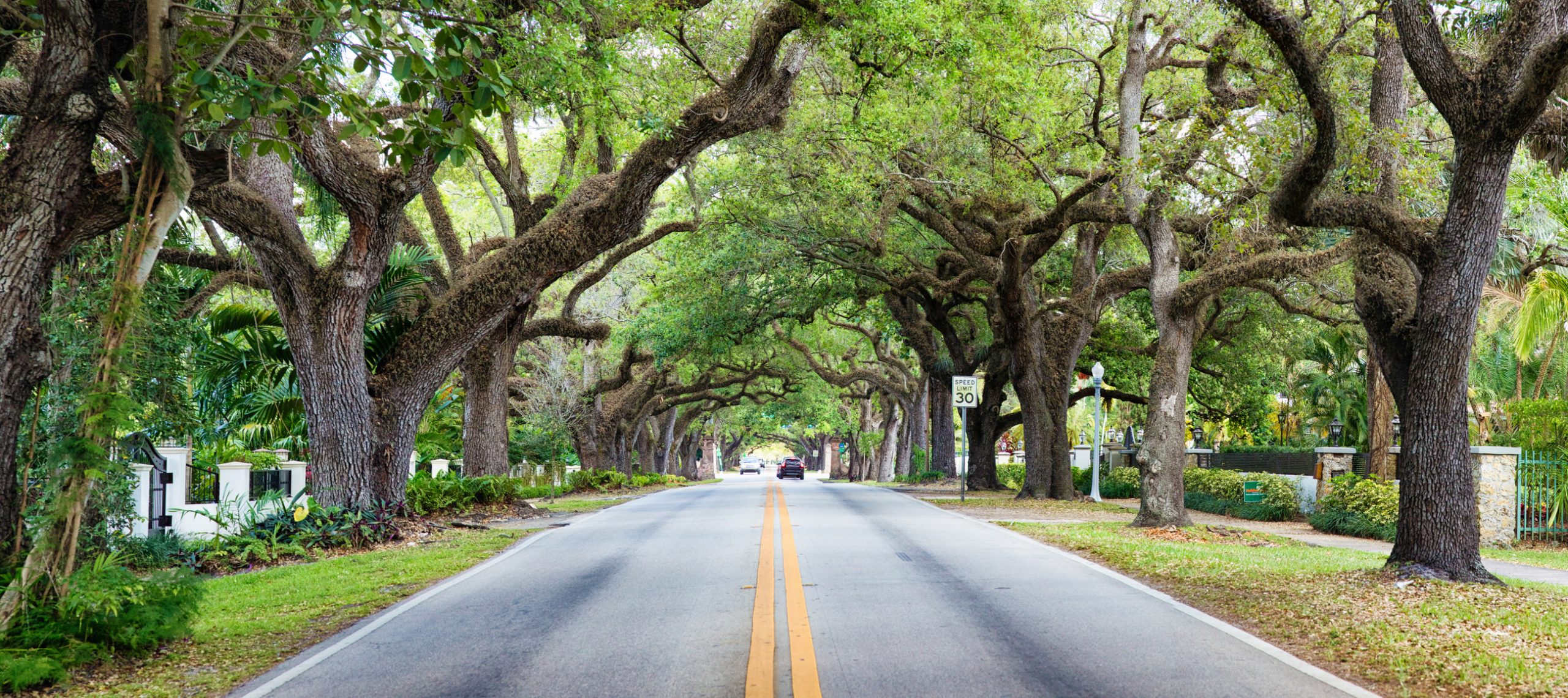 The Roads